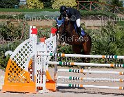 Minardi Gipsy Boy GioCav2013 S5 1949 : Campionati Italiani Giovani Cavalli, Cattolica, Gipsy Boy, Minardi Claudio, ph Stefano Secchi ©
